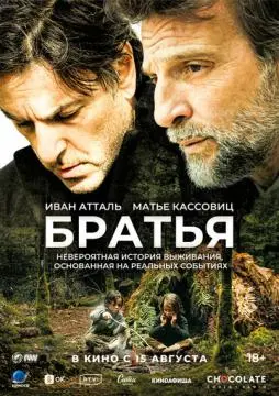 Братья онлайн
