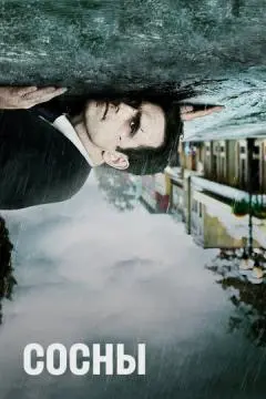 Сосны онлайн